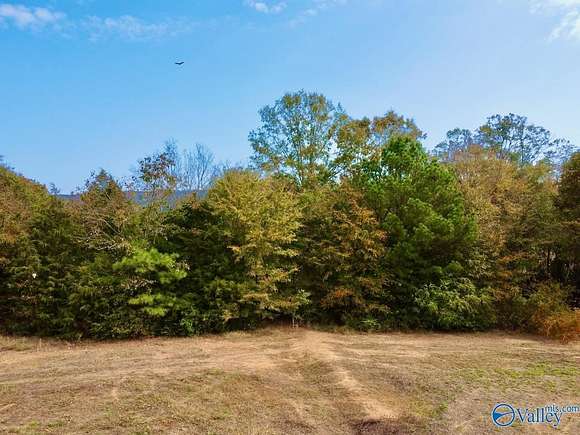 12.49 Acres of Recreational Land for Sale in Langston, Alabama