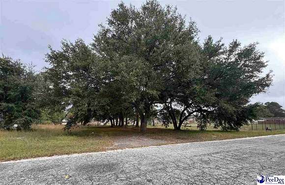 0.6 Acres of Residential Land for Sale in Kingstree, South Carolina