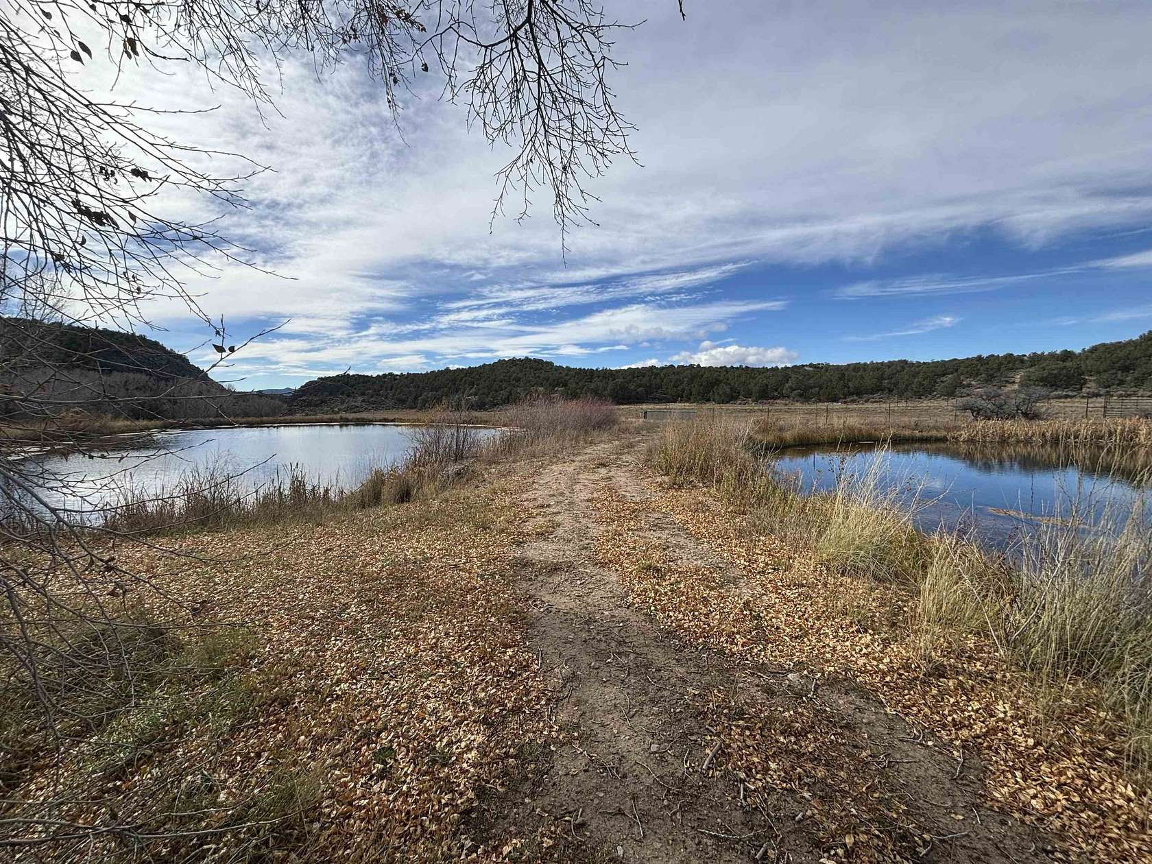 29 Acres of Agricultural Land for Sale in San Cristobal, New Mexico