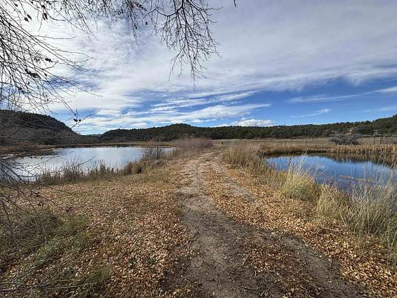 29 Acres of Agricultural Land for Sale in San Cristobal, New Mexico