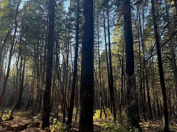 5 Acres of Land for Sale in Happy Camp, California