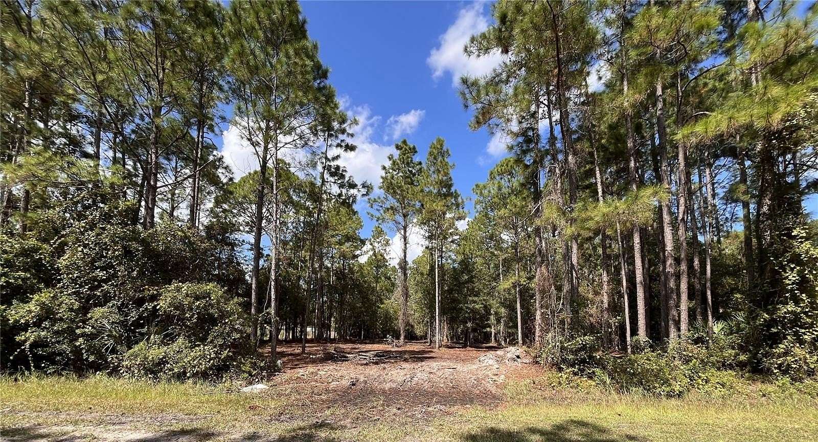 1.14 Acres of Residential Land for Sale in Bunnell, Florida