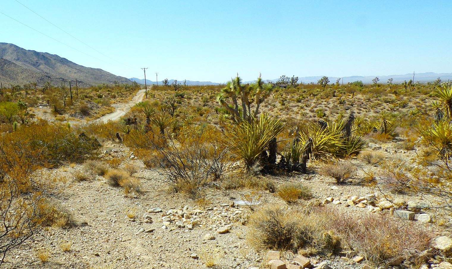 1 Acre of Residential Land for Sale in Dolan Springs, Arizona