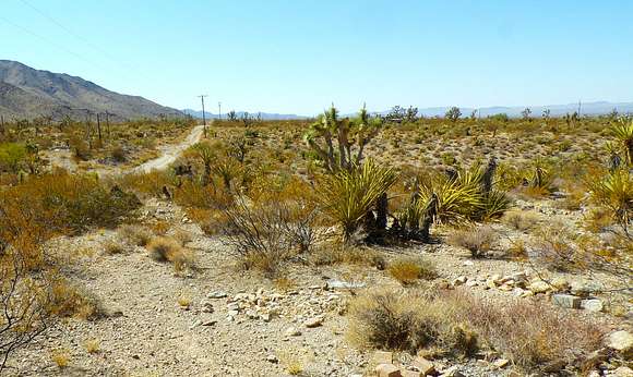 1 Acre of Residential Land for Sale in Dolan Springs, Arizona