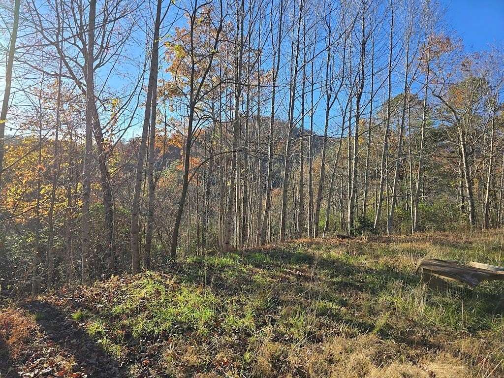 1.43 Acres of Residential Land for Sale in Hiawassee, Georgia
