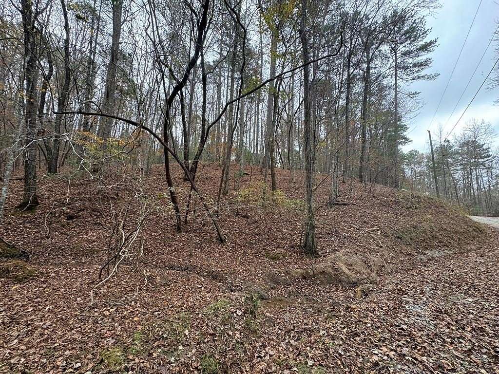 0.92 Acres of Land for Sale in Ellijay, Georgia