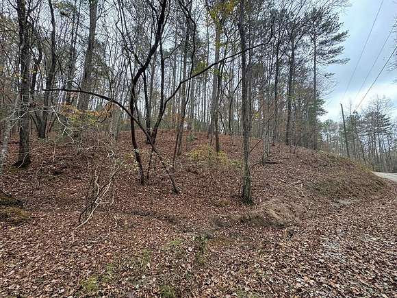 0.92 Acres of Land for Sale in Ellijay, Georgia