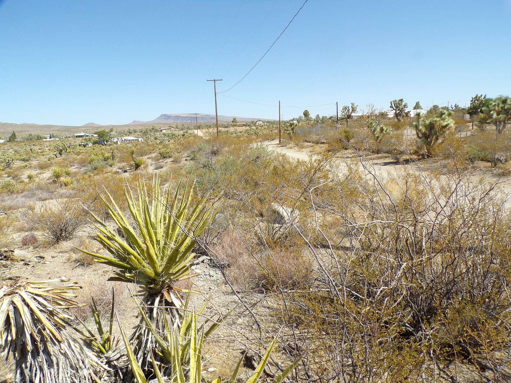 1 Acre of Residential Land for Sale in Dolan Springs, Arizona