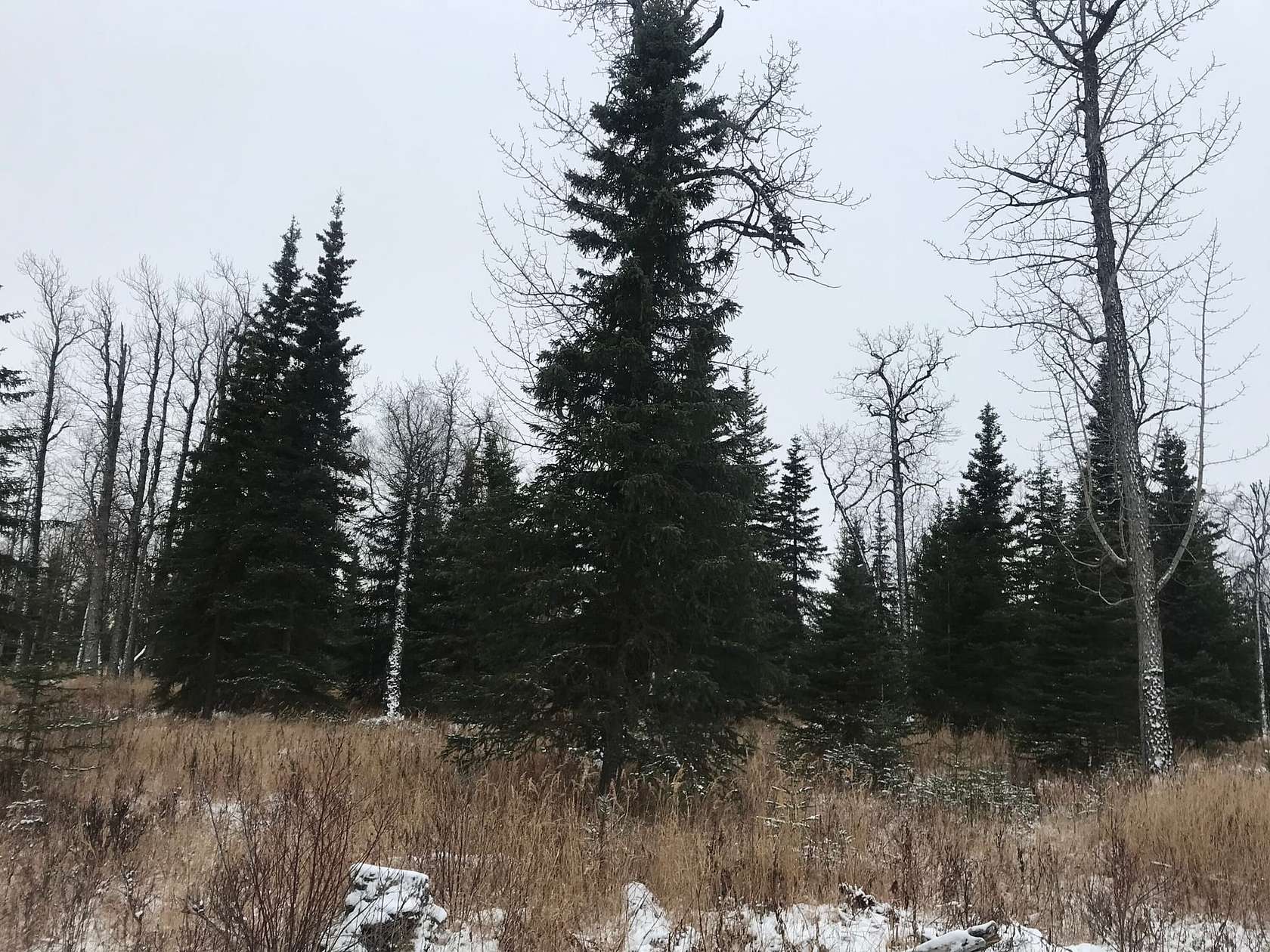 1 Acre of Land for Sale in Ninilchik, Alaska