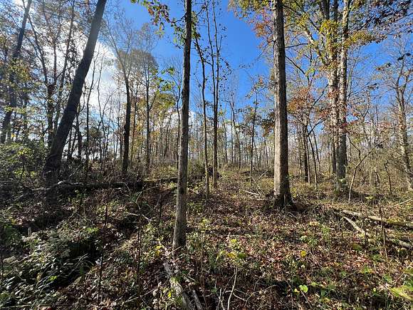 50 Acres of Land for Sale in Pocahontas, Arkansas