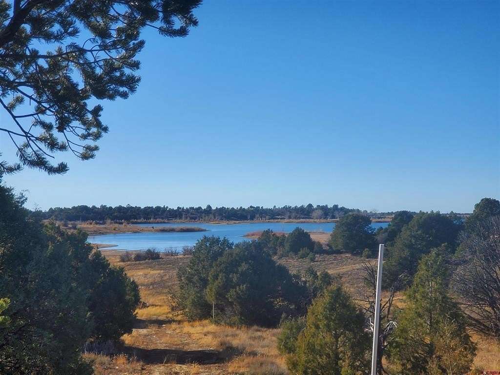 46.09 Acres of Land for Sale in Mancos, Colorado