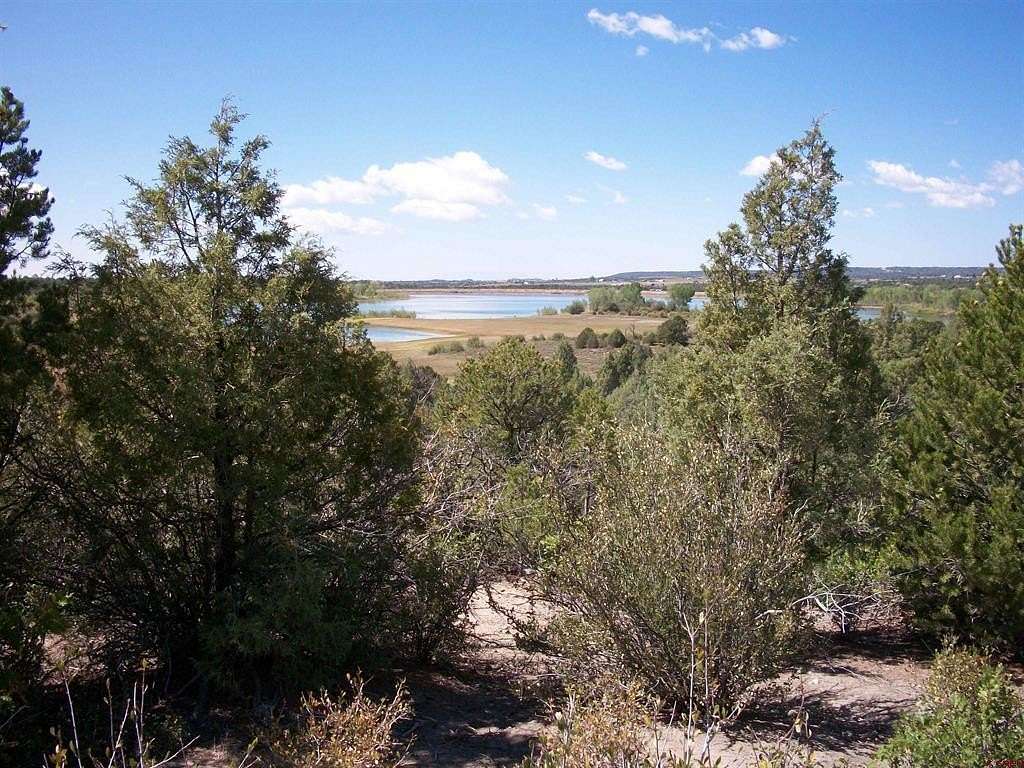 46 Acres of Recreational Land for Sale in Mancos, Colorado