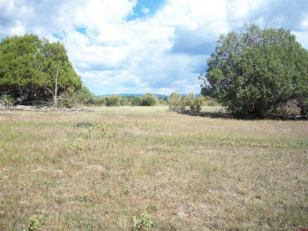 46.09 Acres of Land for Sale in Mancos, Colorado