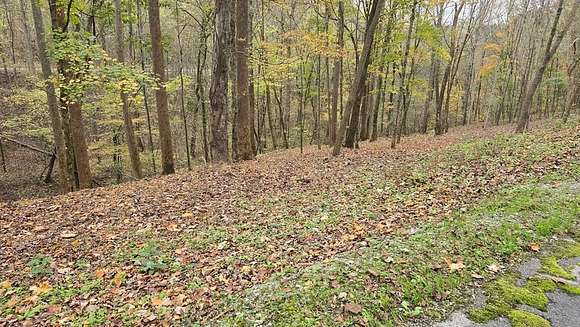 0.712 Acres of Residential Land for Sale in Smithville, Tennessee