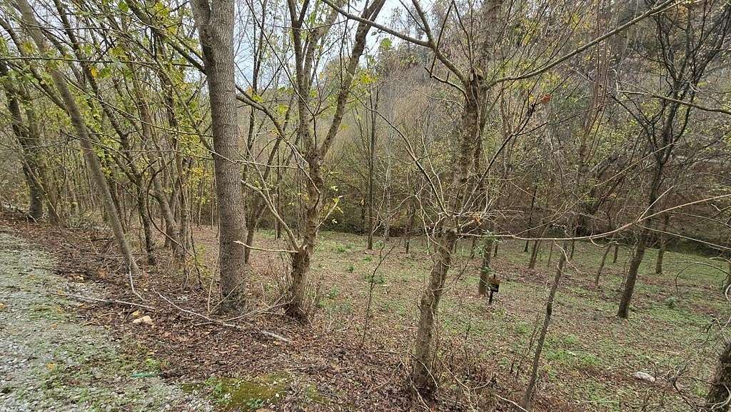 0.818 Acres of Residential Land for Sale in Smithville, Tennessee