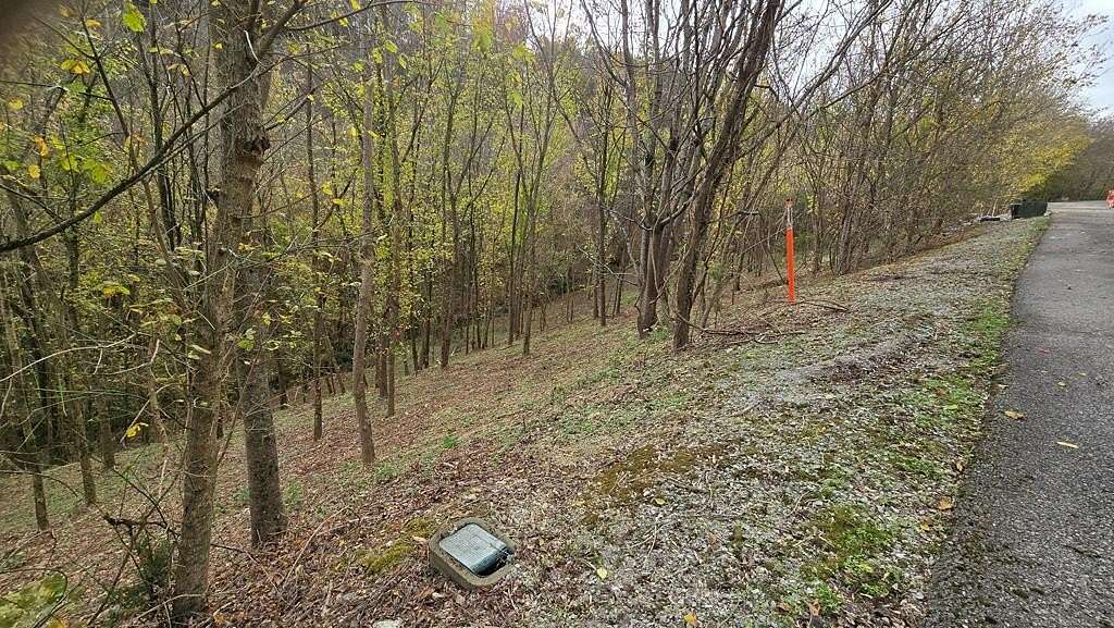 0.845 Acres of Residential Land for Sale in Smithville, Tennessee