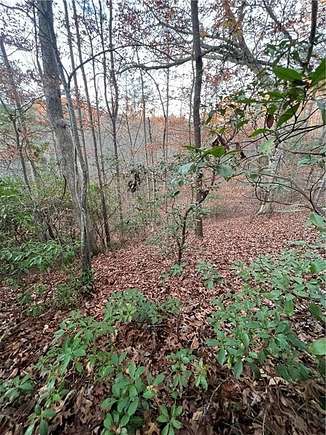 0.75 Acres of Residential Land for Sale in Blairsville, Georgia