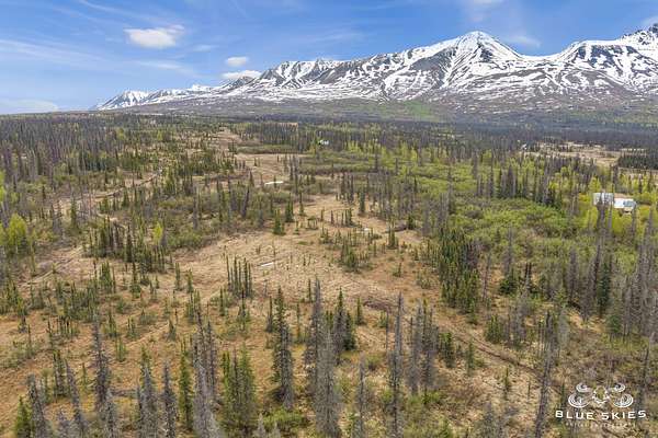 4.9 Acres of Residential Land for Sale in Talkeetna, Alaska