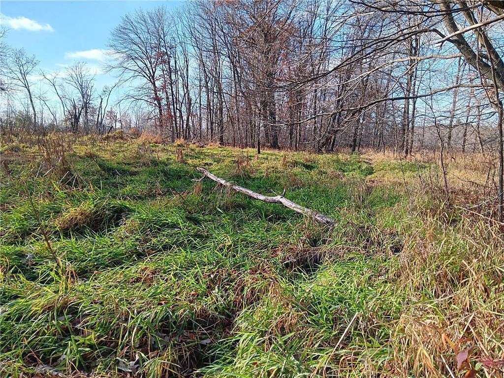 4.24 Acres of Land for Sale in Clayton, Wisconsin