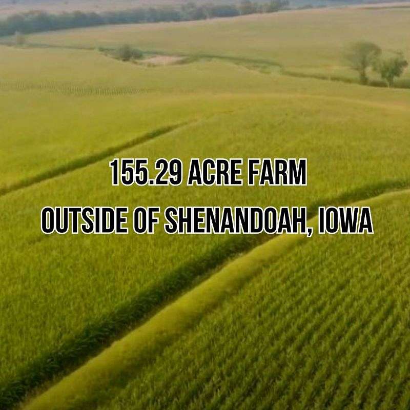 155.29 Acres of Land for Sale in Shenandoah, Iowa