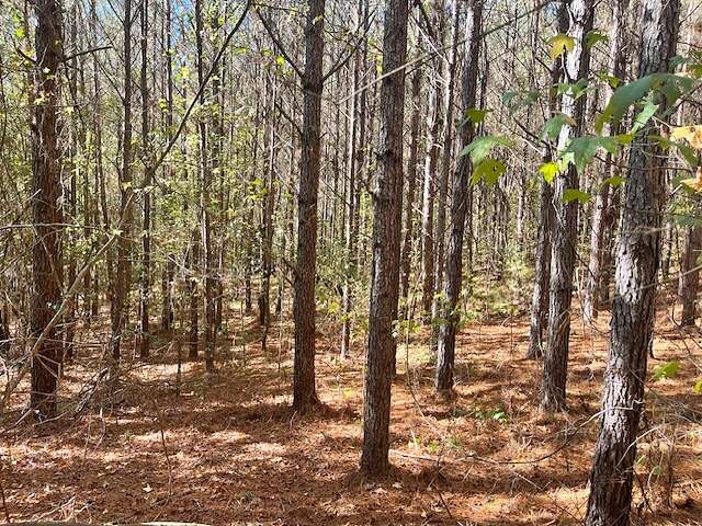 39 Acres of Recreational Land for Sale in Fayette, Alabama