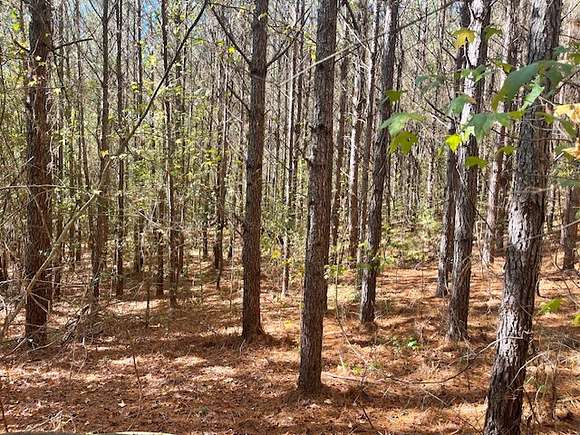 39 Acres of Recreational Land for Sale in Fayette, Alabama