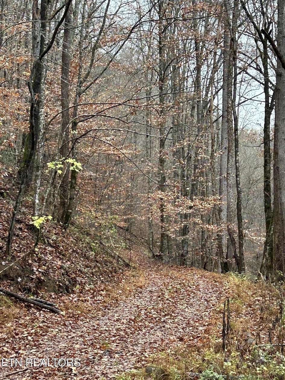 34 Acres of Recreational Land for Sale in Maynardville, Tennessee