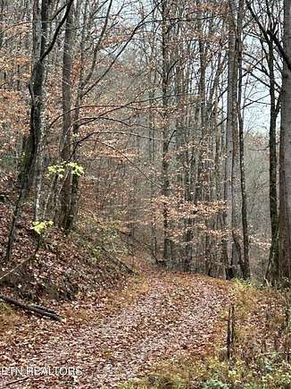 44.4 Acres of Recreational Land & Farm for Sale in Maynardville, Tennessee