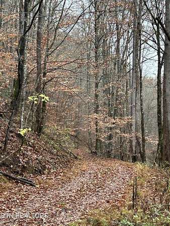 34 Acres of Recreational Land for Sale in Maynardville, Tennessee