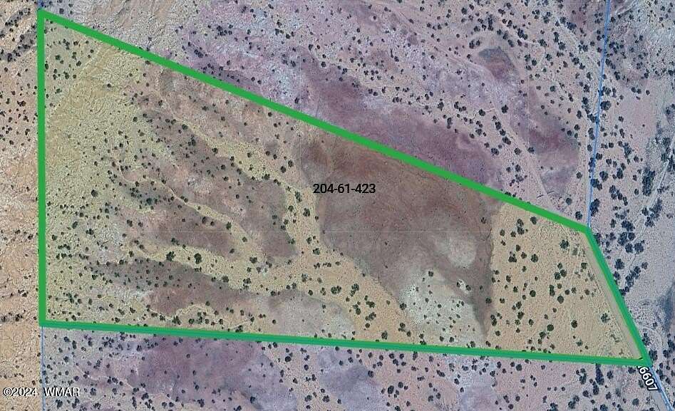 36.78 Acres of Recreational Land for Sale in St. Johns, Arizona