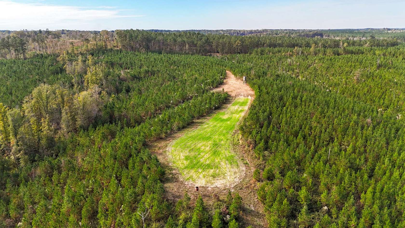 350 Acres of Recreational Land for Sale in Union, Mississippi