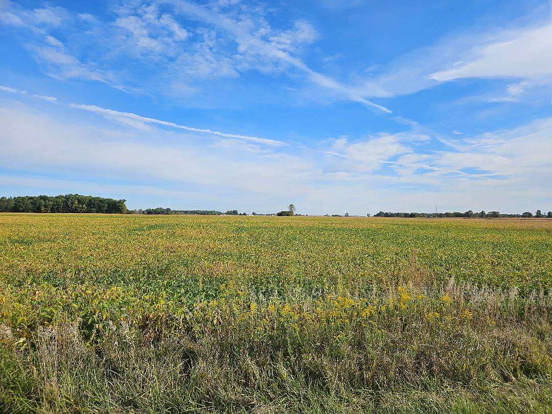 247 Acres of Agricultural Land for Auction in Ashley, Ohio