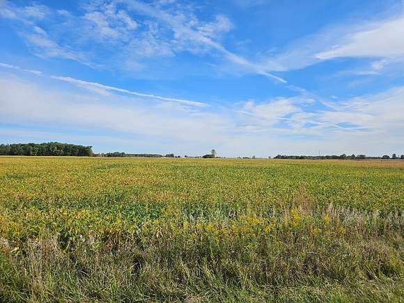 247 Acres of Agricultural Land for Auction in Ashley, Ohio