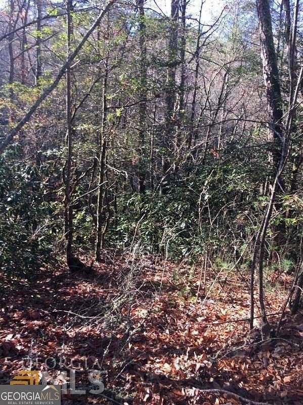 1 Acre of Residential Land for Sale in Clayton, Georgia