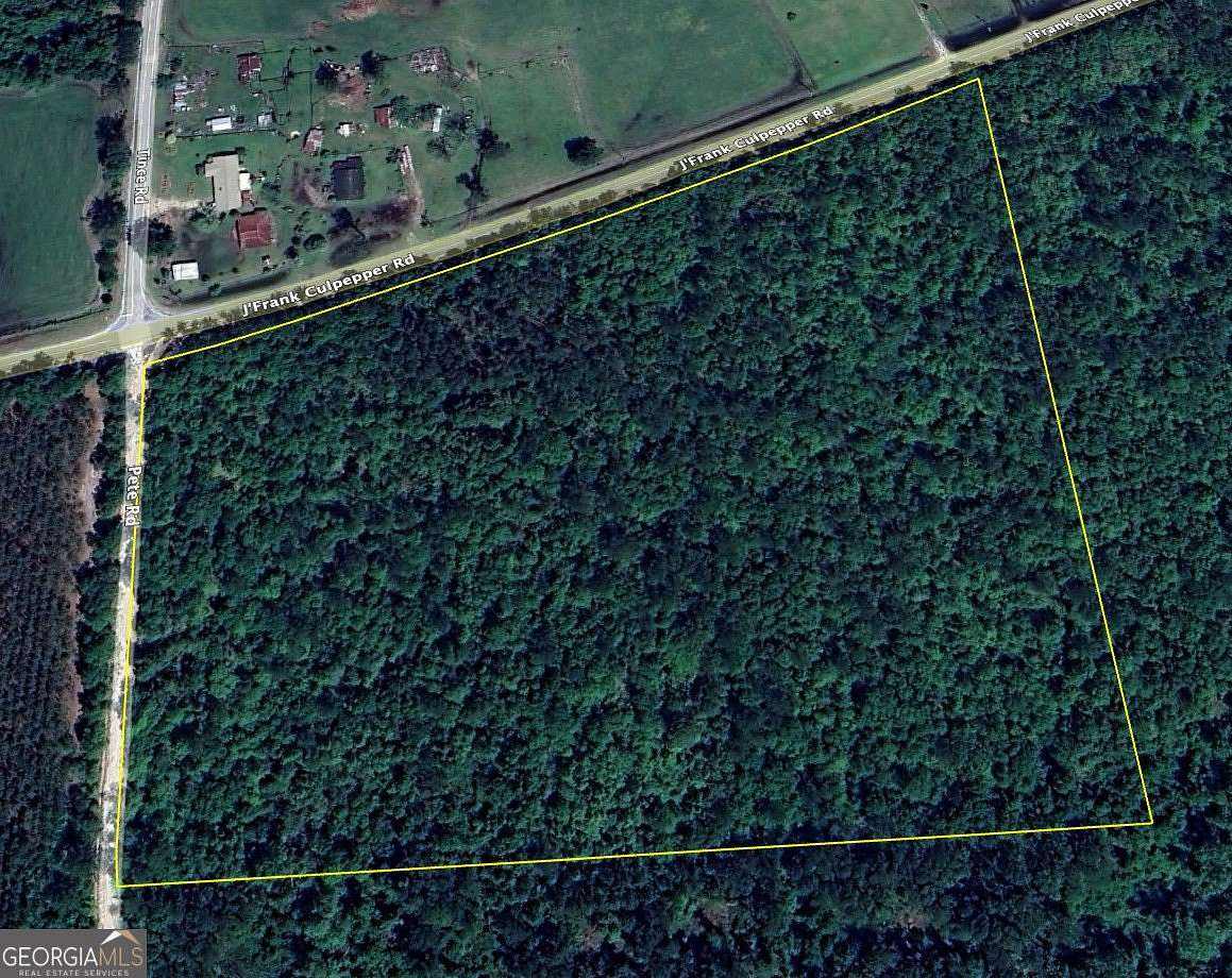 19 Acres of Land for Sale in Lake Park, Georgia