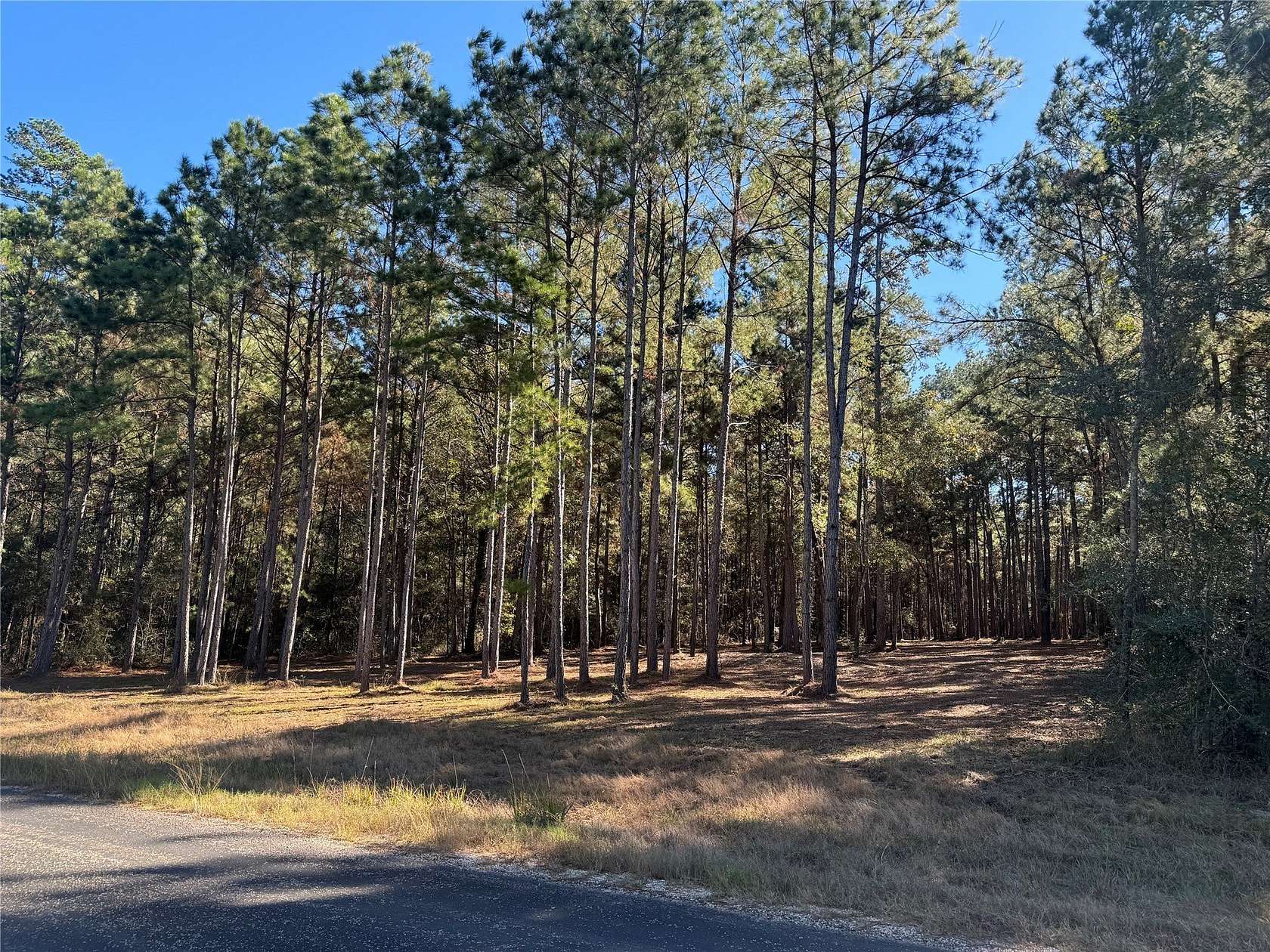 2.455 Acres of Residential Land for Sale in Huntsville, Texas