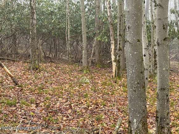 0.96 Acres of Residential Land for Sale in Canadensis, Pennsylvania