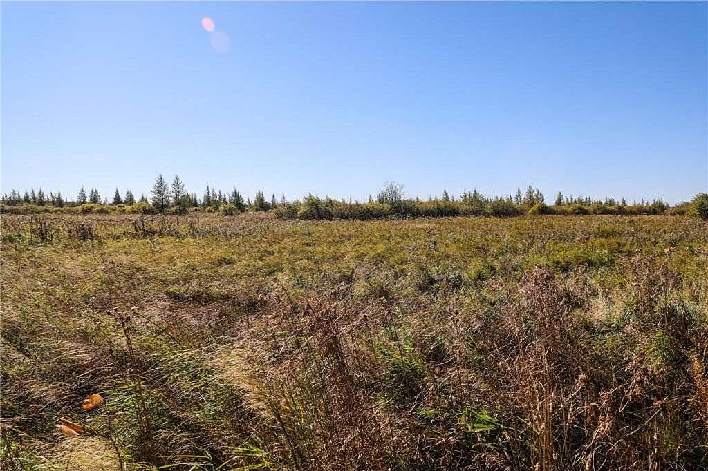 40 Acres of Recreational Land & Farm for Sale in Palisade, Minnesota