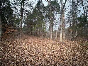 40 Acres of Recreational Land & Farm for Sale in Burkesville, Kentucky