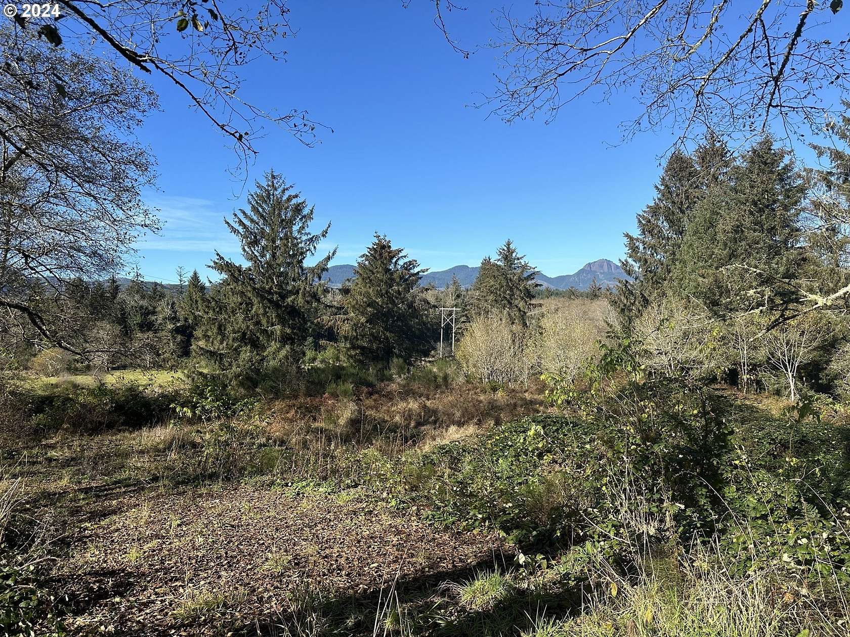 3.7 Acres of Residential Land for Sale in Nehalem, Oregon