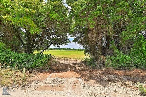 40 Acres of Agricultural Land for Sale in Clyde, Texas