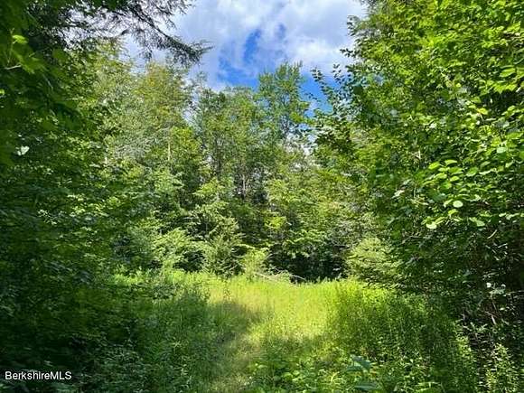 45.5 Acres of Land for Sale in Sandisfield, Massachusetts