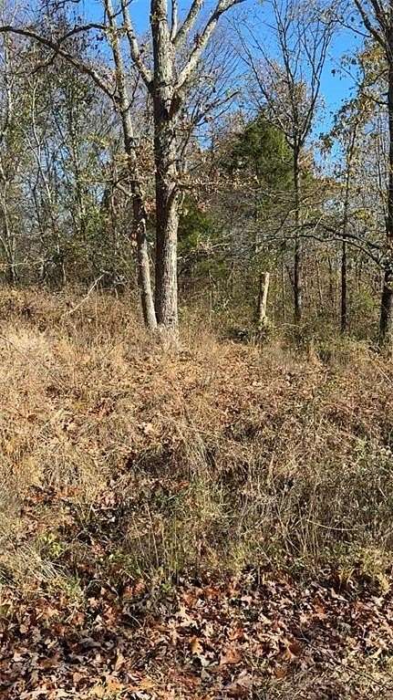 0.29 Acres of Residential Land for Sale in Bella Vista, Arkansas