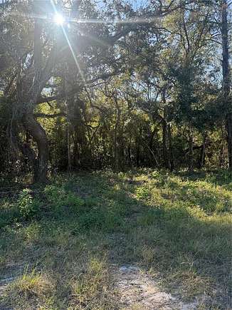 2 Acres of Land for Sale in Spring Hill, Florida