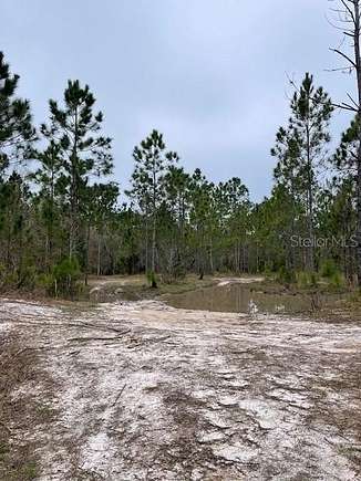 1.45 Acres of Commercial Land for Sale in Bunnell, Florida