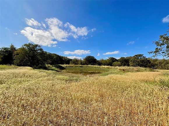 22.11 Acres of Agricultural Land for Sale in Blum, Texas