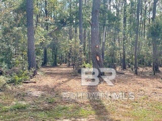 Residential Land for Sale in Foley, Alabama