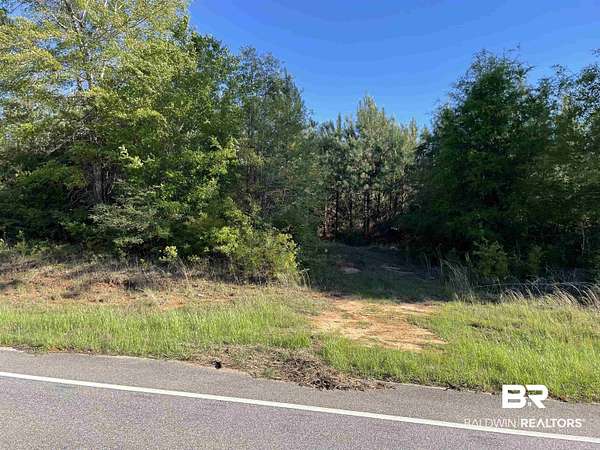 47.1 Acres of Recreational & Residential Land for Sale in Evergreen, Alabama