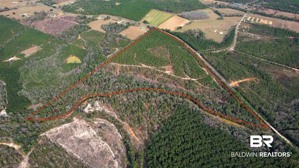 52 Acres of Land for Sale in Robertsdale, Alabama