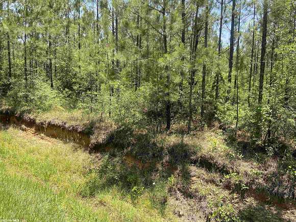 20 Acres of Land for Sale in Perdido, Alabama